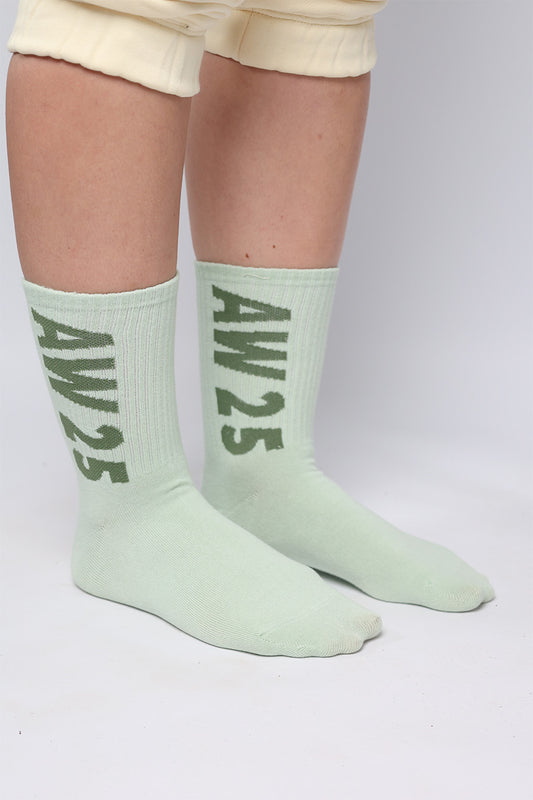 Earth AW25 Socks