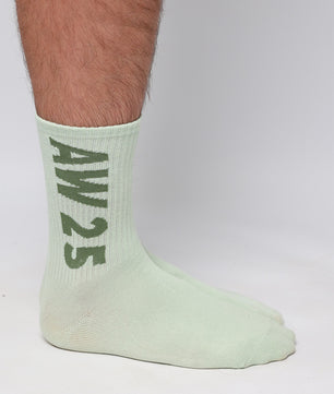 Earth AW25 Socks