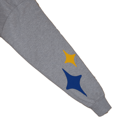 Stars on Earth Heavyweight Hoodie - Grey - Earthside